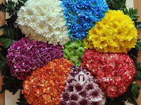 семицветик